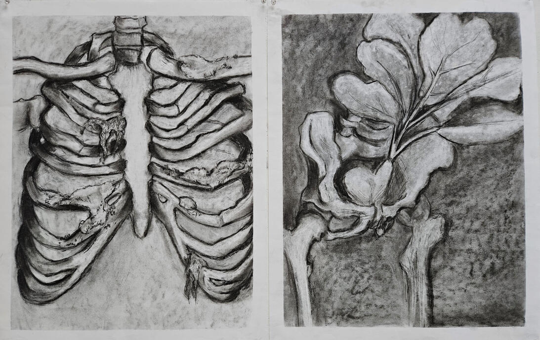 "Death and Life" 2023 charcoal diptych on paper